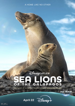 Sea Lions of the Galapagos (2025) - Movie Details