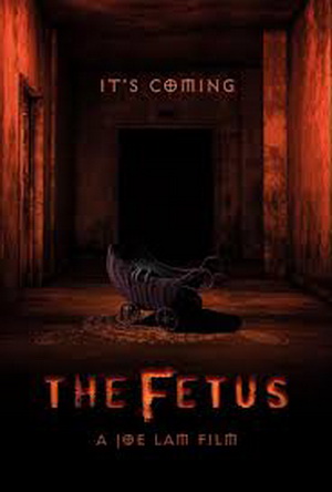 The Fetus (2025) Movie Details